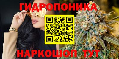 герыч Владикавказ