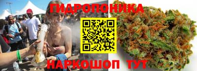 хмурый Владимир